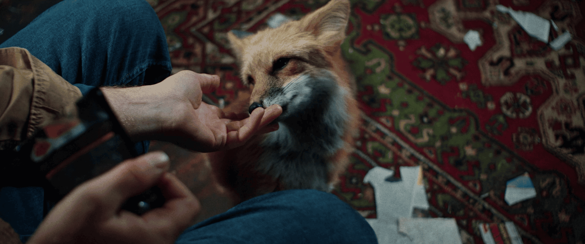 Как приручить лису